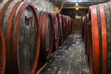 Barrels of wine in old cellar