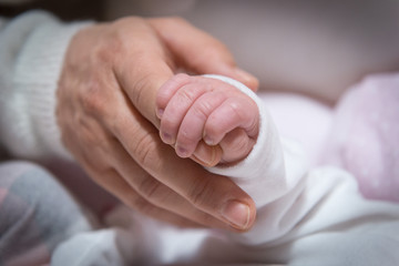 Mano di un adulto che sorregge la mano di un neonato