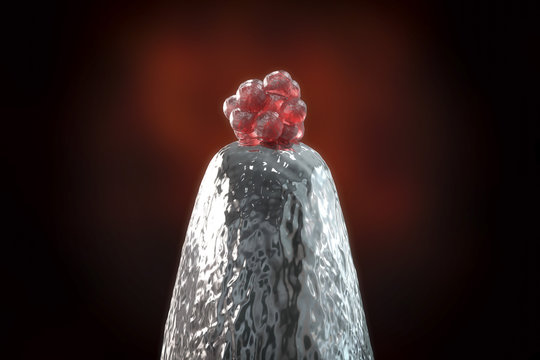 16-cell human embryo on a needle tip, 3D illustration