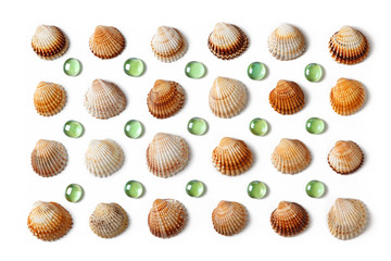 Pattern made of shells and green glass beads isolated on white background