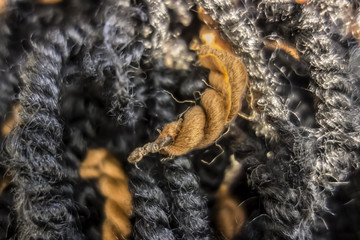 Beautiful background of black and gold African braids. Dreadlocks texture