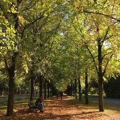 Ein Tag im Herbst 2017