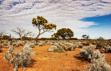 The Australian desert, the outback