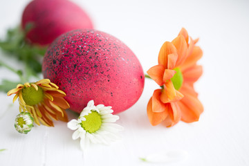 Obraz na płótnie Canvas Easter eggs and flowers of a chrysanthemum on a white background, soft focus