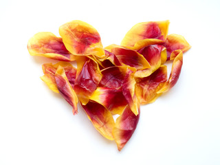Heart made of crushed tulip petals