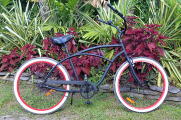 Fototapeta na wymiar Black bicycle parking in a tropical garden