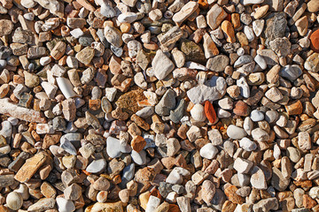 Texture of the stone bottom of the sea.