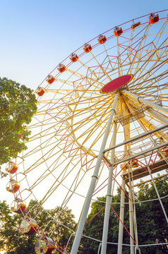 Ferris Wheel at Sunset in Amusement Park. Observation Wheel on Blue Sky Background Near Branches of Trees