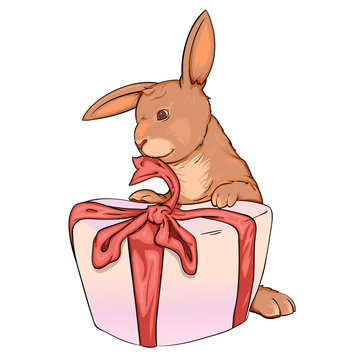 rabbit and gift