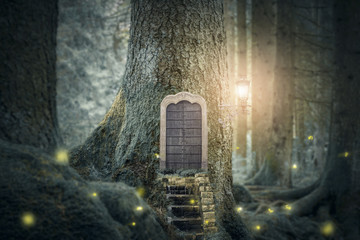 fairytale forest house