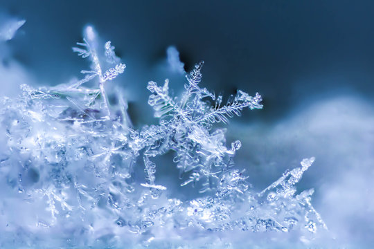 Snow under the microscope