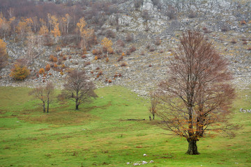 Fototapeta premium Autumn landscape in Mehedinti Mountains, Romania, Europe