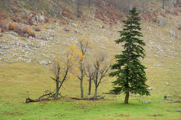 Autumn landscape in Cernei Mountains, Carpathians Range, Romania, Europe