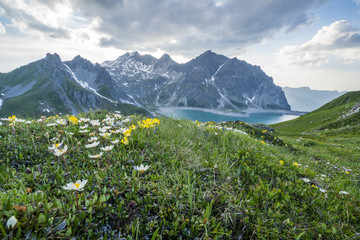 Sommer in den Alpen
