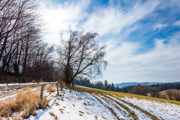 Landscape of agriculture field and meadow. Preparation for spring. Trees near the road, blue sky.