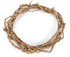 Obraz premium Crown of Thorns