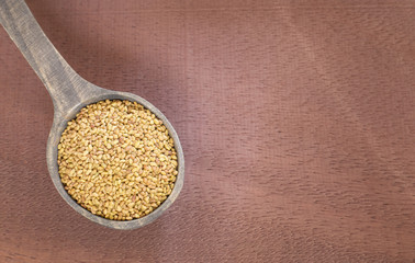 Seeds alfalfa - Medicago sativa