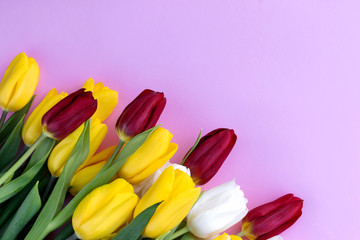 Bouquet of tulips on pink background, spring, love.