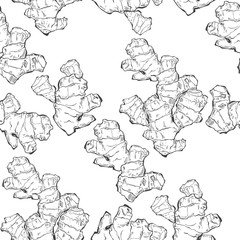 Ginger. Seamless vector pattern on white background. Contour drawing, sketch.