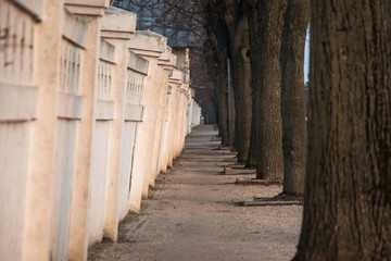 Fototapeta na wymiar Wall and trees on the sidewalk