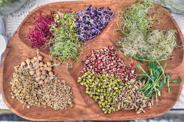 Close up of a sprouting tray with different vegetables