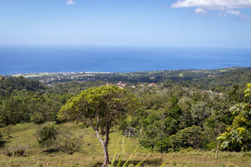 Fototapeta na wymiar Idyllic panoramic view of lush green vegetation and Caribbean sea in the tropical island Guadeloupe