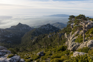 Beautiful morning landscape at Puertos the Beceite with wind shaped trees in the foreground