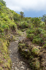 Fototapeta na wymiar Trail to an active volcano La Soufriere, Guadeloupe, Caribbean