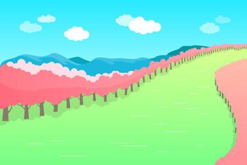 Cherry blossom trees in park.