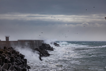 Storm at the coast of Helgoland - 196081520