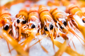 Macro closeup of row of many cooked orange prawns with sad shiny black large eyes, legs seafood on ice in store shop