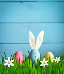 Easter funny bunny on green grass with easter eggs and flowers. Easter background.