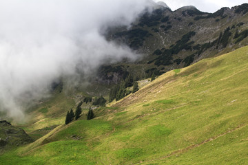 fog in summer mountains