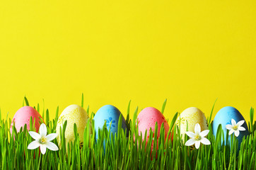 Painted Easter eggs in a green grass on a meadow and flowers.