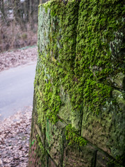 Alb/Karlsruhe/Deutschland