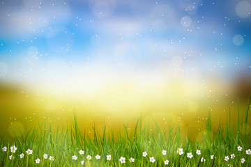 Wiosene tło, widok na trawę, kwiaty oraz na łąkę z pięknym rozmyciem bokeh - obrazy, fototapety, plakaty
