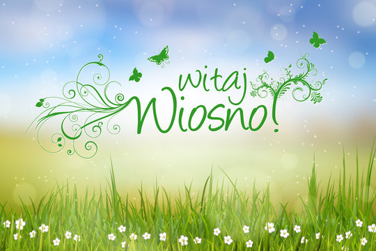 Witaj wiosno, piękny kwiatowy motyw z motylami oraz trawą i kwiatami w tle, koncepcja na kartkę z życzeniami