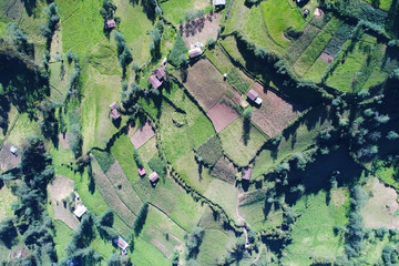 Fields aerial view