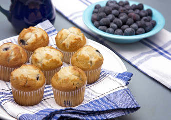 Baked Blueberry Muffins on a Kitchen Counter