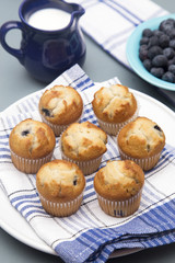 Baked Blueberry Muffins on a Kitchen Counter