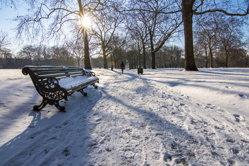 Snow in Green Park, London