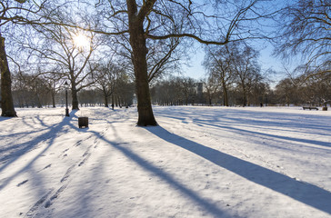 Snow in Green Park, London