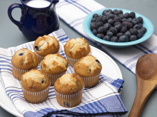 Baked Blueberry Muffins on a Kitchen Counter