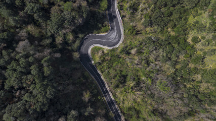 Aerial view of a small and narrow road passing through the forest trees. It is nobody. The street has a curve in the middle.