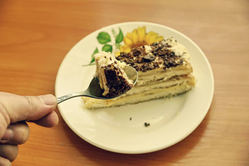 delicious piece of homemade cake. wife prepared for the holiday