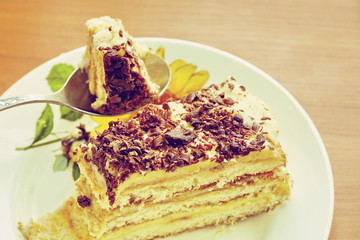 delicious piece of homemade cake. wife prepared for the holiday