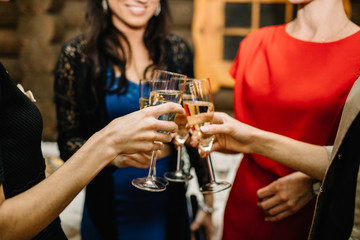 Closeup photo of cheerful girls celebrating a bachelorette party