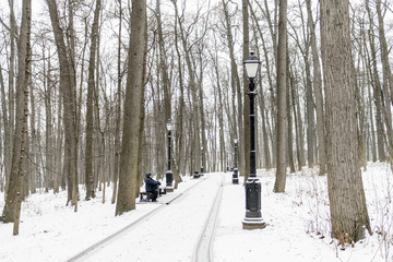 Man - elderly pensioner, sits on a park bench in the winter. High trees, a lantern.