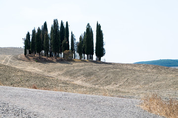 Plowed field ready to be cultivated in Val d'Orcia, Tuscany