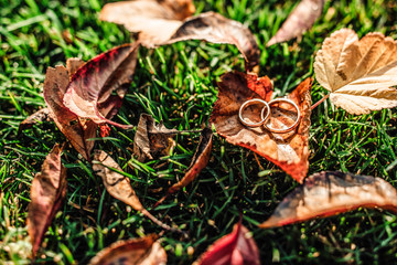 engagement and wedding ring, autumn wedding concept